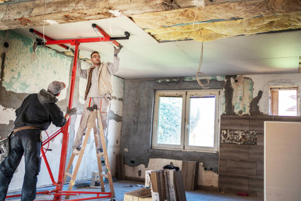 Best Commercial Insulation in Woodson Terrace, MO
