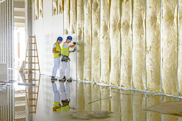 Best Insulation Maintenance and Repair in Woodson Terrace, MO